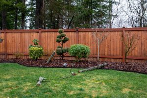 Five Reasons for Building Wood Fences