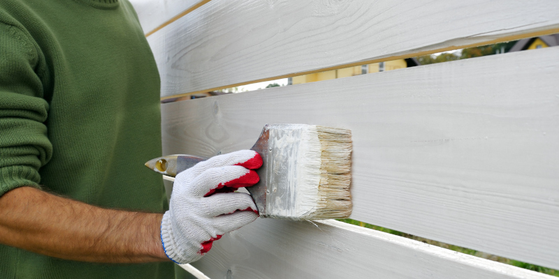 Fence Painting in Knoxville, Tennessee