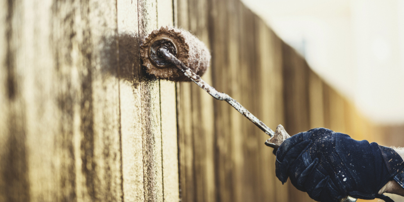 Fence Staining in Knoxville, Tennessee